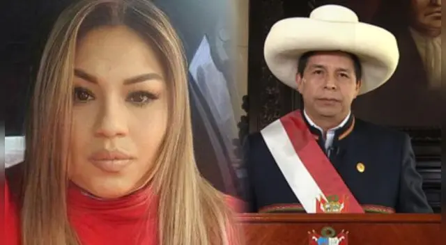 En la declaración de López sostuvo que existe un “presunto negociado” en el que están implicados cinco congresistas, Pedro Castillo y miembros de su familia.