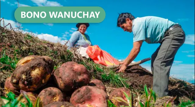 Link Bono Wanuchay 2022: ¿Cómo y hasta cuándo cobrar el subsidio para agricultores?