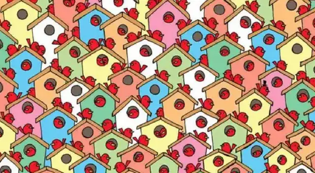 Reto Visual: Halla las 3 manzanas entre las casas de pájaros Reto Visual: Halla las 3 manzanas entre las casas de pájaros