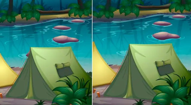 Reto visual: Halla las 9 diferencias en este pantano; un 10% de retadores lo logró
