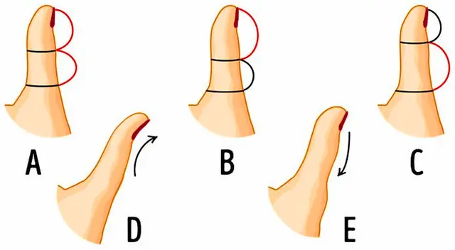 Test viral: ¿Cómo es la forma de tu dedo pulgar? tu respuesta revelará tu verdadero carácter