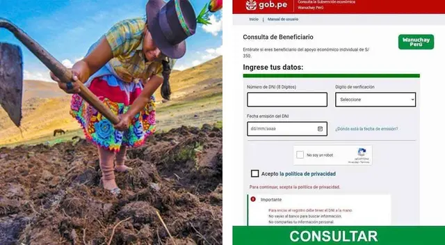 Bono Wanuchay 2022: Consulta con tu DNI si accedes al subsidio de 350 soles