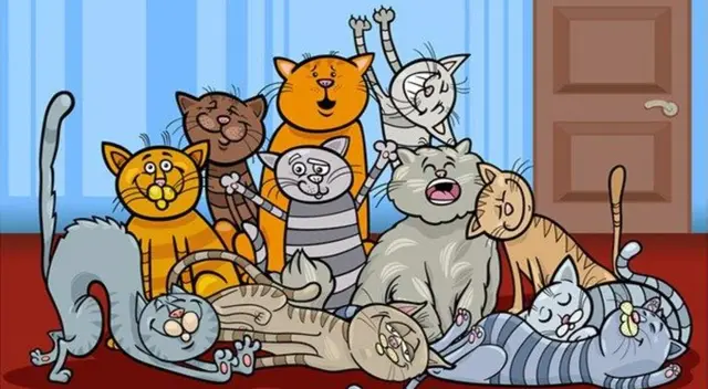Diviértete encontrando las diferencia de los gatitos ¿Estas listo? Diviértete encontrando las diferencia de los gatitos ¿Estas listo?