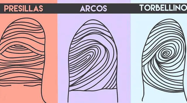 ¿Cómo es tu huella dactilar?: Resuelve el test viral que revelará tu personalidad más oculta ¿Cómo es tu huella dactilar?: Resuelve el test viral que revelará tu personalidad más oculta