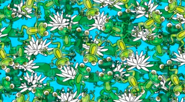 Reto visual: encuentra el intruso entre las ranas; el 90% falló en su intento Reto visual: encuentra el intruso entre las ranas; el 90% falló en su intento