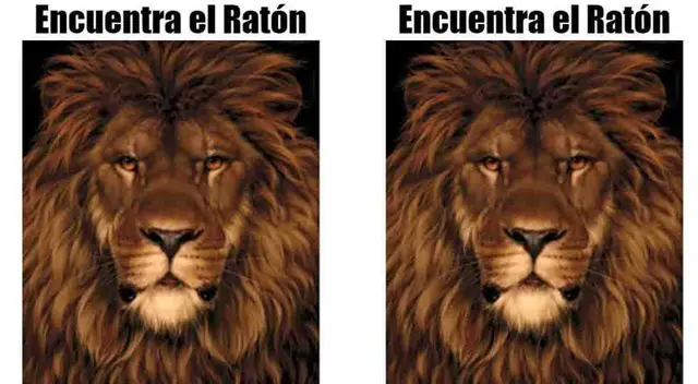 Mira al león y trata de hallar al ratón que está escondido en la imagen Mira al león y trata de hallar al ratón que está escondido en la imagen