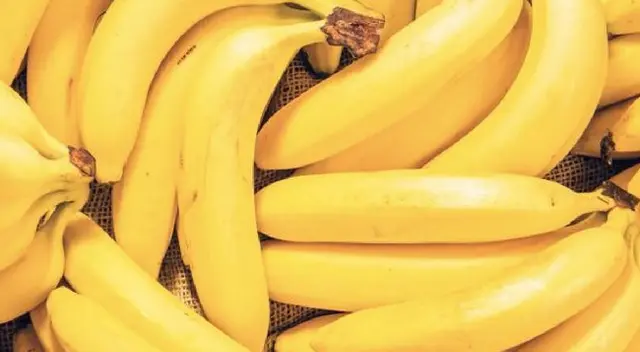 Encuentra la serpiente camuflada y resuelve el reto visual Encuentra la serpiente camuflada y resuelve el reto visual