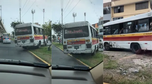 Miles de personas se mostraron indignadas al ver como un chófer de transporte público invade las áreas verdes. Miles de personas se mostraron indignadas al ver como un chófer de transporte público invade las áreas verdes.