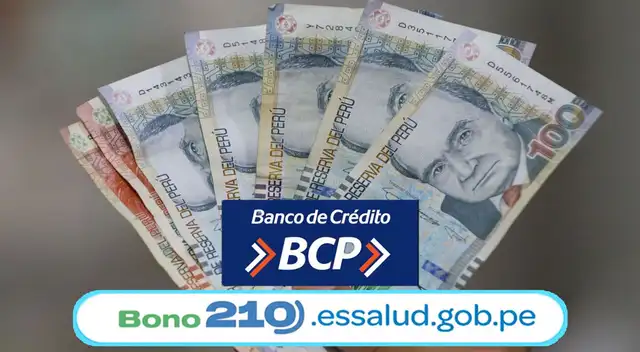 Toda la información sobre el Bono 210.