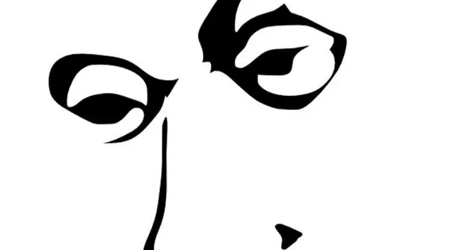 Ubica la palabra que está escondida en el rostro del acertijo visual