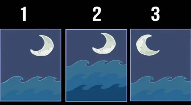 Descubre lo que dice esta imagen sobre ti; resuelve este test visual Descubre lo que dice esta imagen sobre ti; resuelve este test visual
