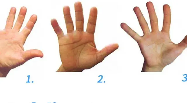 Test de personalidad: La forma de tus manos revelará tu forma de ser Test de personalidad: La forma de tus manos revelará tu forma de ser