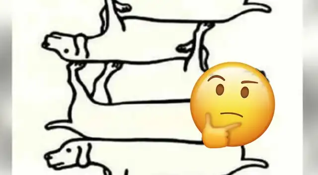 ¿Cuántos perros hay en la imagen? resuelve este acertijo visual Extremo