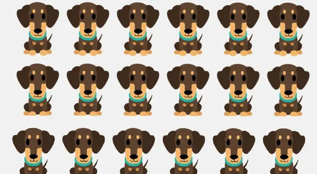 ¿Encuentra al perro que te esta saludando? Intenta resolver este acertijo visual ¿Encuentra al perro que te esta saludando? Intenta resolver este acertijo visual