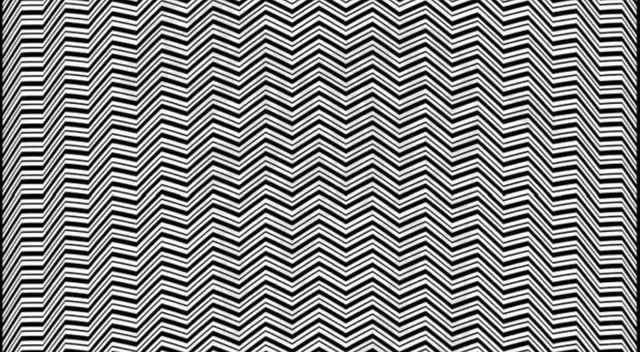 ¿Logras ver al animal oculto? El 99% de personas fallaron en este acertijo visual ¿Logras ver al animal oculto? El 99% de personas fallaron en este acertijo visual