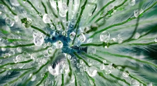 Solo para expertos: Encuentra el tornillo escondido en la imagen ¡Tienes 10 segundos! Solo para expertos: Encuentra el tornillo escondido en la imagen ¡Tienes 10 segundos!