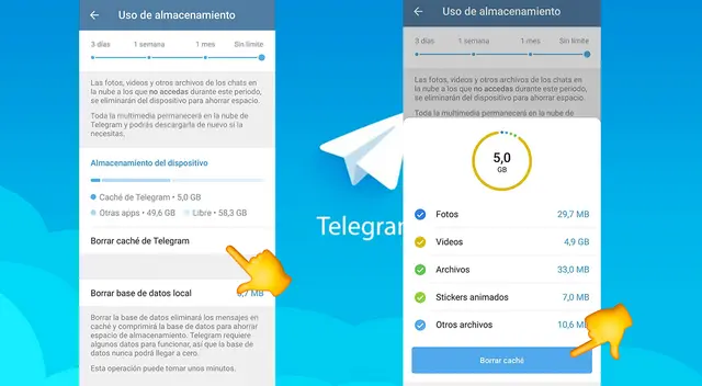  Telegram: eliminar caché    