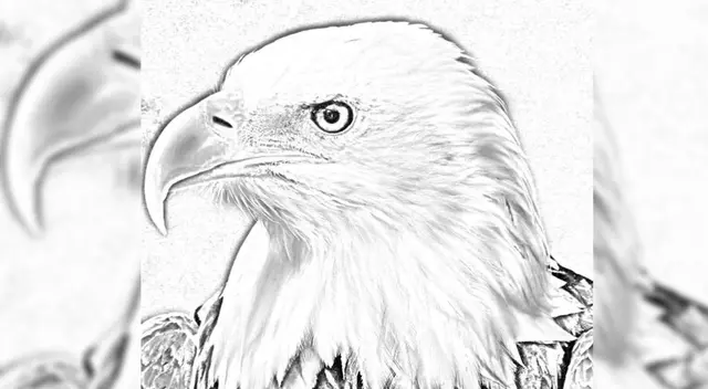 ¿Podrás encontrar el rostro oculto? Atrévete a resolver este reto visual en 8 segundos