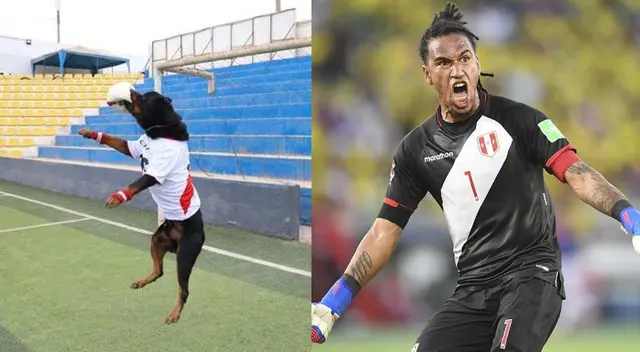 El perro de raza rottweiler tiene 7 años y pertenece a la brigada canina del distrito de Magdalena. El perro de raza rottweiler tiene 7 años y pertenece a la brigada canina del distrito de Magdalena.