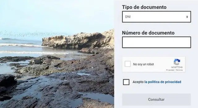 Bono Repsol - Abril 2022: Consulta aquí si estás en el padrón que recibirá S/ 3,000 Bono Repsol - Abril 2022: Consulta aquí si estás en el padrón que recibirá S/ 3,000
