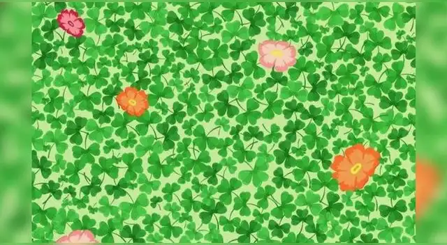 ¿Te consideras el mejor con los retos visuales? Demuéstralo resolviendo esta imagen en menos de 10 segundos