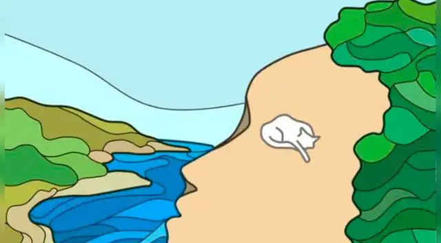 Test de personalidad: ¿un acantilado, un gato o un rostro? Test de personalidad: ¿un acantilado, un gato o un rostro?