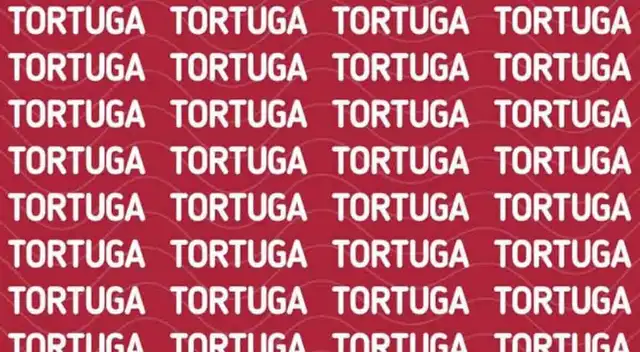 Encuentra la palabra