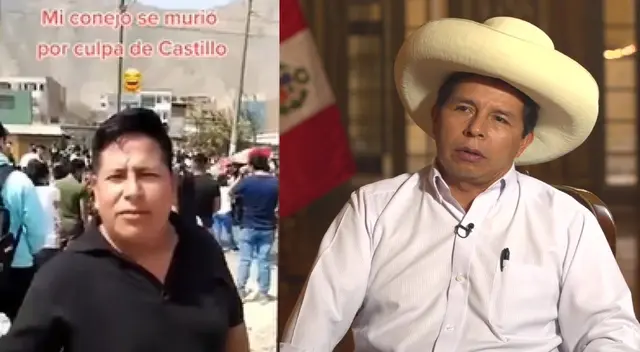 Joven responsabiliza a Castillo por muerte de su conejo: Joven responsabiliza a Castillo por muerte de su conejo: