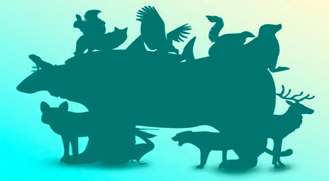 Demuestra que eres todo un experto y en solo 10 segundos descubre la cantidad exacta de animales de hay en este reto visual. Demuestra que eres todo un experto y en solo 10 segundos descubre la cantidad exacta de animales de hay en este reto visual.