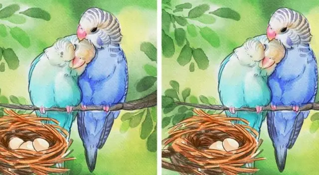 ¿Ves las 3 diferencias en esta pareja? Diviértete con este reto visual para inteligentes ¿Ves las 3 diferencias en esta pareja? Diviértete con este reto visual para inteligentes