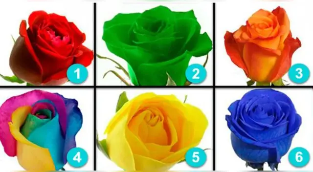 Conoce aspectos de tu personalidad con solo elegir una rosa.