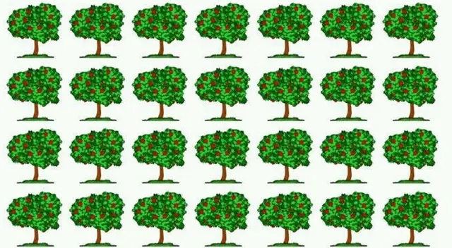 Encuentra al árbol distinto.