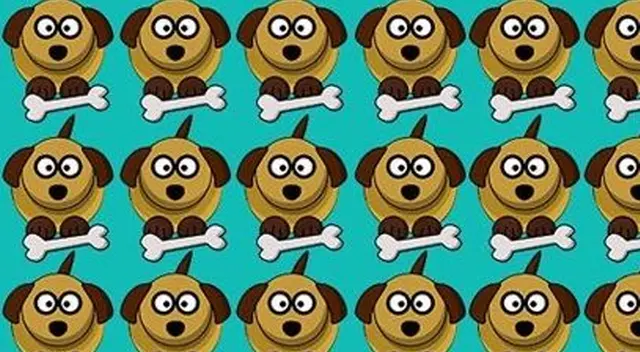 Encuentra al perro distinto. Encuentra al perro distinto.