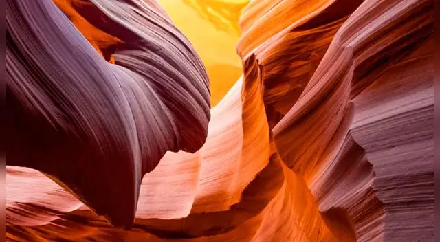 Reto visual: ¿Logras verlas? Encuentra las hojas ocultas en tan solo 15 segundos