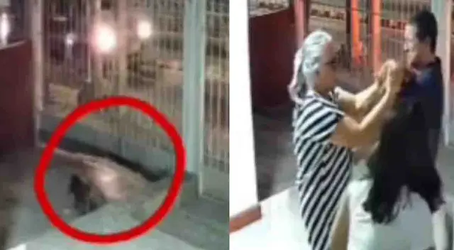 Perro volvió a su casa tras estar perdido y su familia lloró de la emoción Perro volvió a su casa tras estar perdido y su familia lloró de la emoción