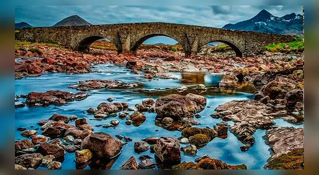 Reto visual: ¿Viste al caracol? Encuéntralo en este paisaje en 15 segundos