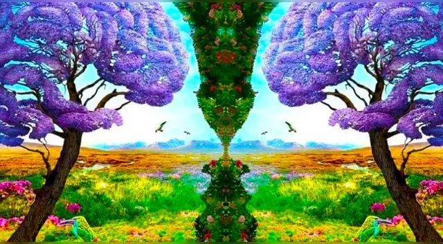 Descubre si eres una persona celosa en este test viral Descubre si eres una persona celosa en este test viral