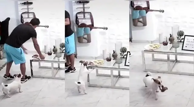 Perrito aprovecha la distracción de su amo y se lleva su presa de pollo a la brasa. Perrito aprovecha la distracción de su amo y se lleva su presa de pollo a la brasa.