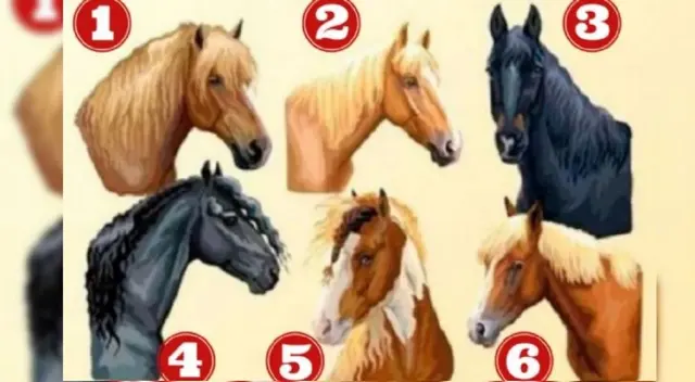 ¿Eres un líder por naturaleza? Escoge un caballo y descubre más sobre tu personalidad ¿Eres un líder por naturaleza? Escoge un caballo y descubre más sobre tu personalidad