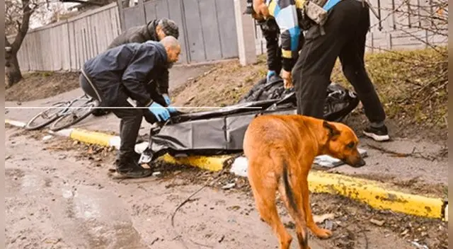 Perro se niega a abandonar a su dueño tras ser abatido por tropas rusas