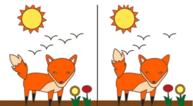 ¿Cuál es la primera diferencia que observaste? ¿Cuál es la primera diferencia que observaste?
