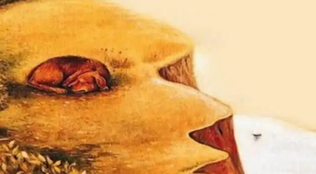 ¿Un perro o un rostro? Resuelve este test visual y conoce si eres una persona leal