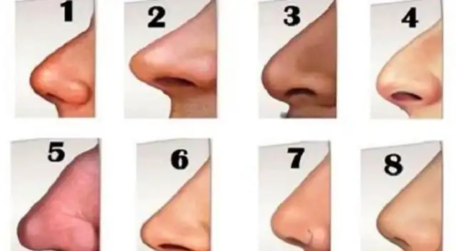 ¿Cómo es tu nariz?: el increíble test psicológico que revela cuál es tu modo de ser