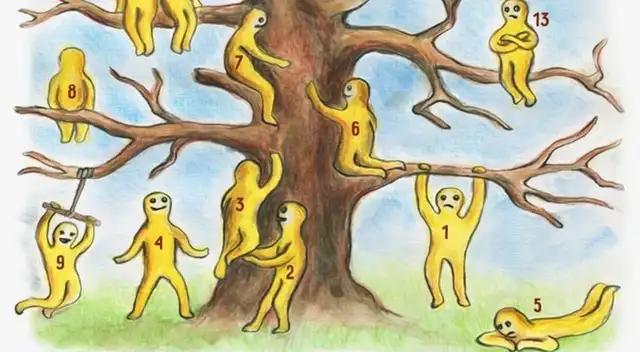 ¿En qué parte del árbol estás? el test psicológico que revela tu estado emocional