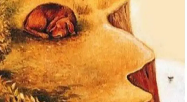 Tu respuesta revelara cosas sorprendentes de ti Tu respuesta revelara cosas sorprendentes de ti