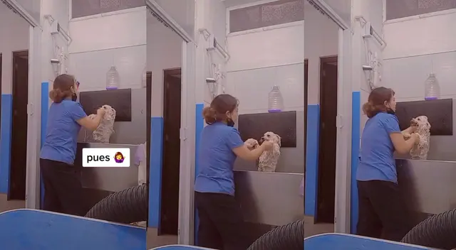 ¡Servicio completo! Perrito toma baño al ritmo de Envolver de Anitta. ¡Servicio completo! Perrito toma baño al ritmo de Envolver de Anitta.