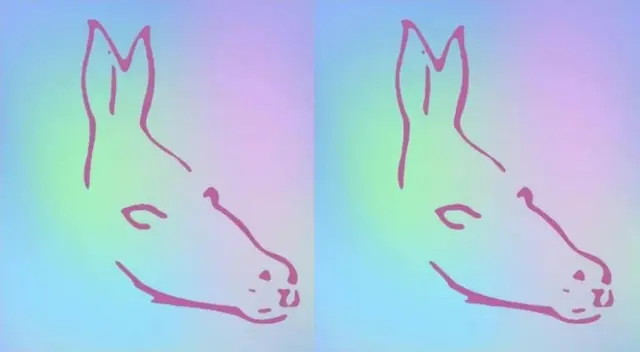 ¿Qué animal viste primero? Tu respuesta revelará secretos de tu personalidad