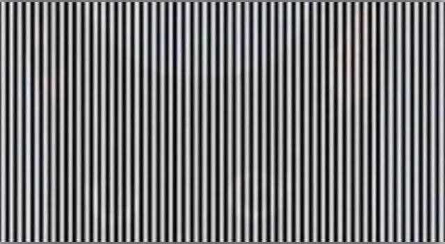 ¿Crees poder adivinar que animal se encuentra oculto en la imagen? Si la respuesta es sí, entonces te retamos a que puedas marcar un nuevo récord. ¿Crees poder adivinar que animal se encuentra oculto en la imagen? Si la respuesta es sí, entonces te retamos a que puedas marcar un nuevo récord.