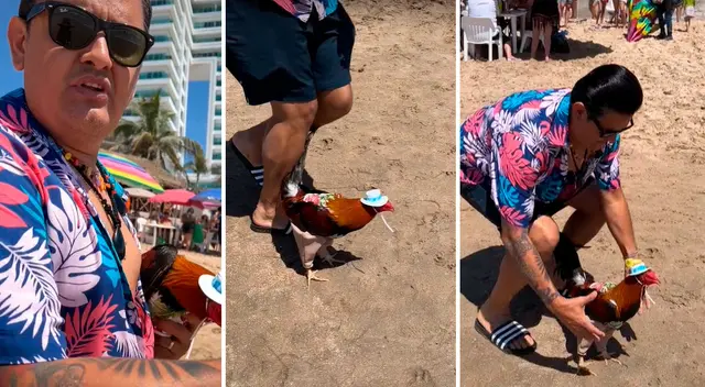 Un hombre y su gallo se volvieron viral al pasar un día de playa: Un hombre y su gallo se volvieron viral al pasar un día de playa: