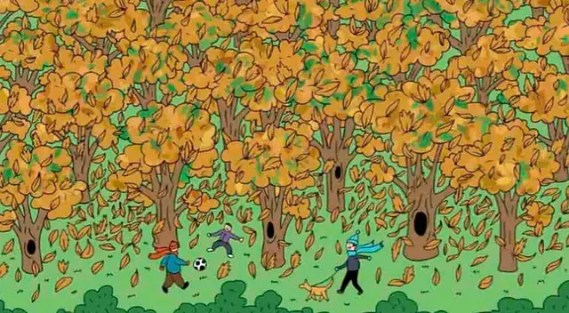 Reto visual: ¿Dónde está el roedor? Solo un 5% de personas lo halló en este bosque Reto visual: ¿Dónde está el roedor? Solo un 5% de personas lo halló en este bosque